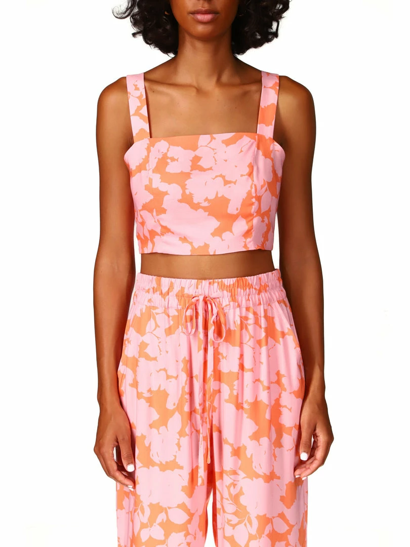 Sanctuary Clothing Roof Top Crop Melon Field 5 Sanctuary Clothing Roof Top Crop Melon Field