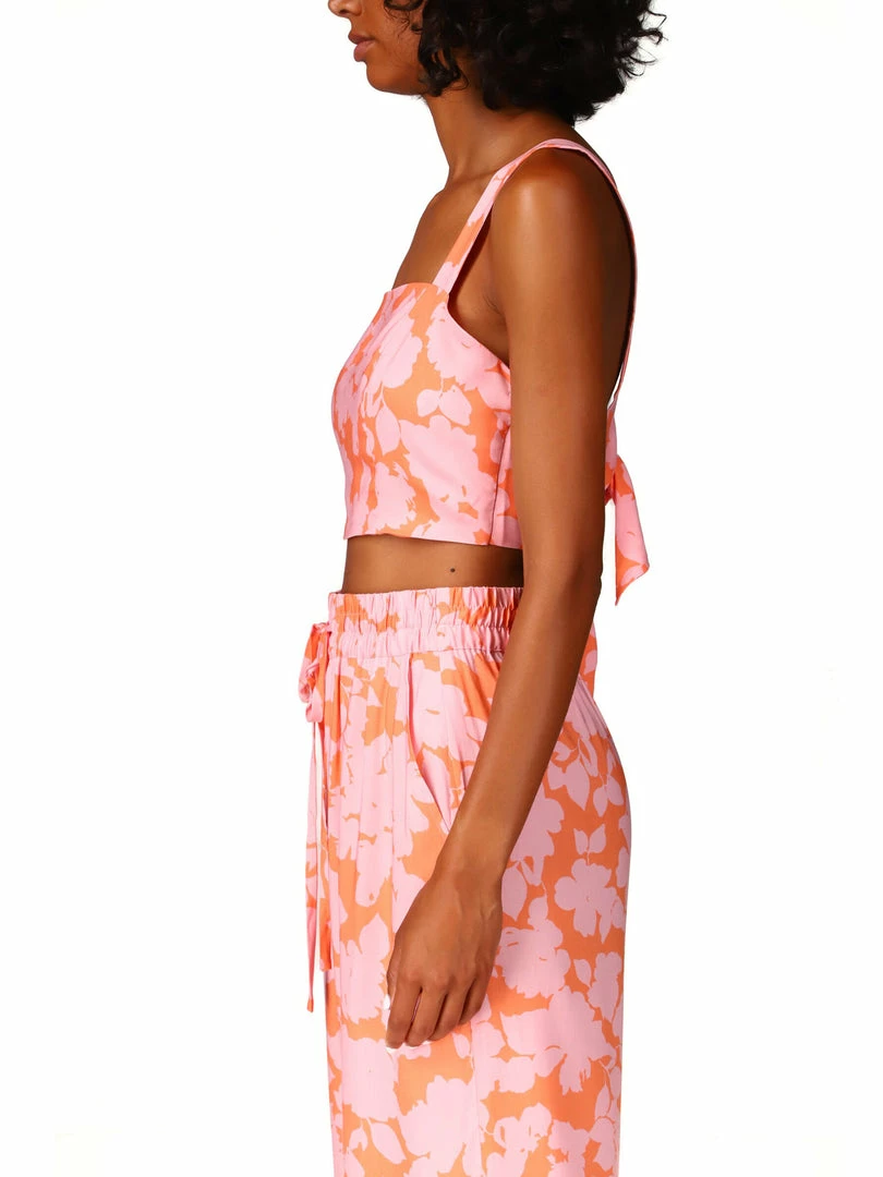 Sanctuary Clothing Roof Top Crop Melon Field 6 Sanctuary Clothing Roof Top Crop Melon Field