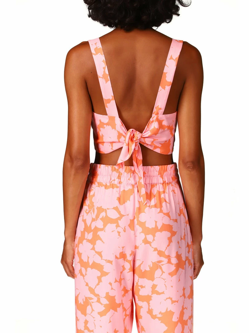 Sanctuary Clothing Roof Top Crop Melon Field 7 Sanctuary Clothing Roof Top Crop Melon Field