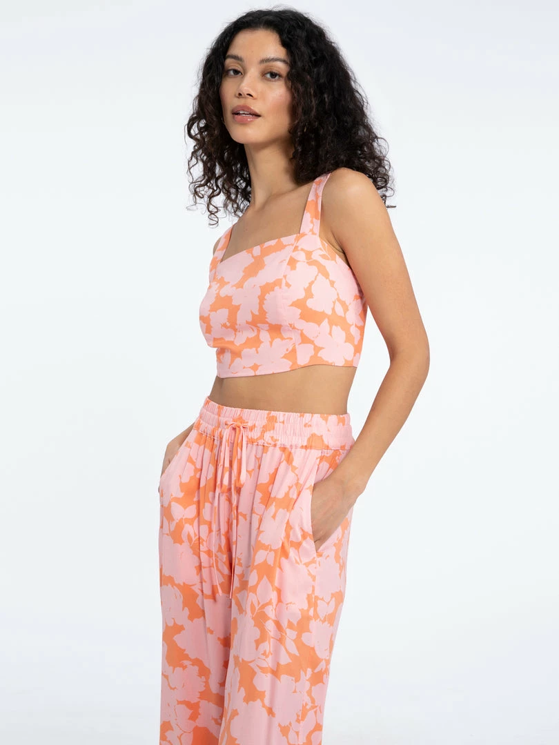 Sanctuary Clothing Roof Top Crop Melon Field 4 Sanctuary Clothing Roof Top Crop Melon Field