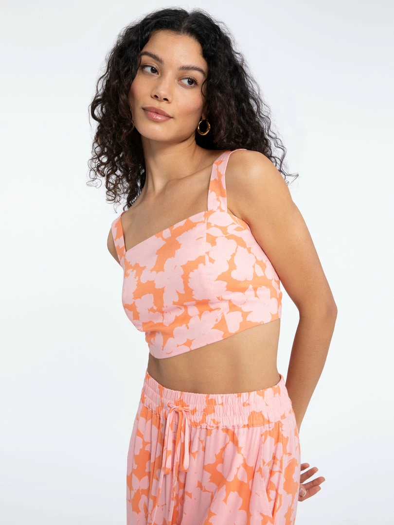 Sanctuary Clothing Roof Top Crop Melon Field 3 Sanctuary Clothing Roof Top Crop Melon Field